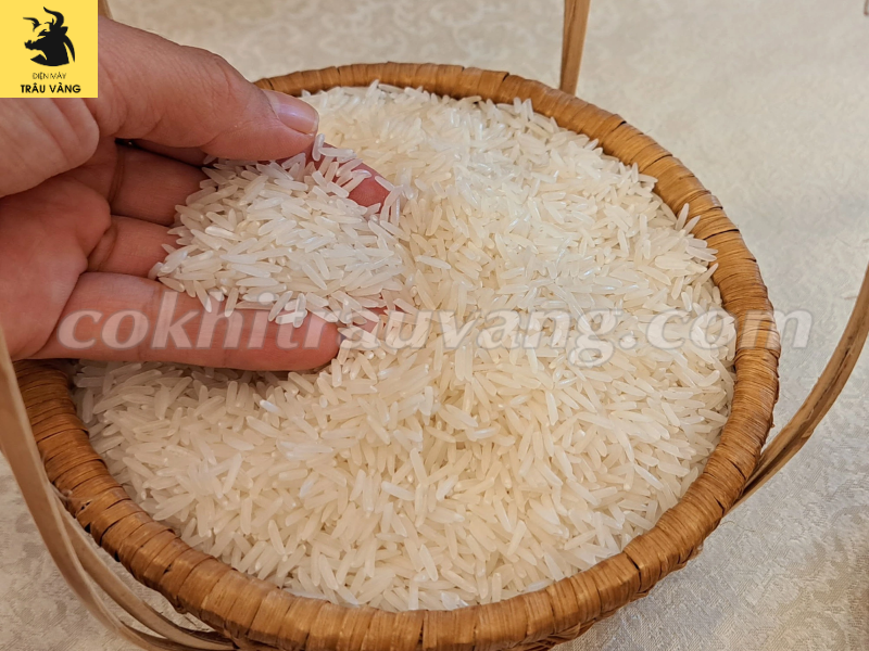 Giá máy xay xát lúa gạo công nghiệp
