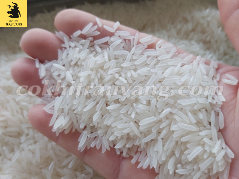 Giá bộ máy xay xát lúa gạo