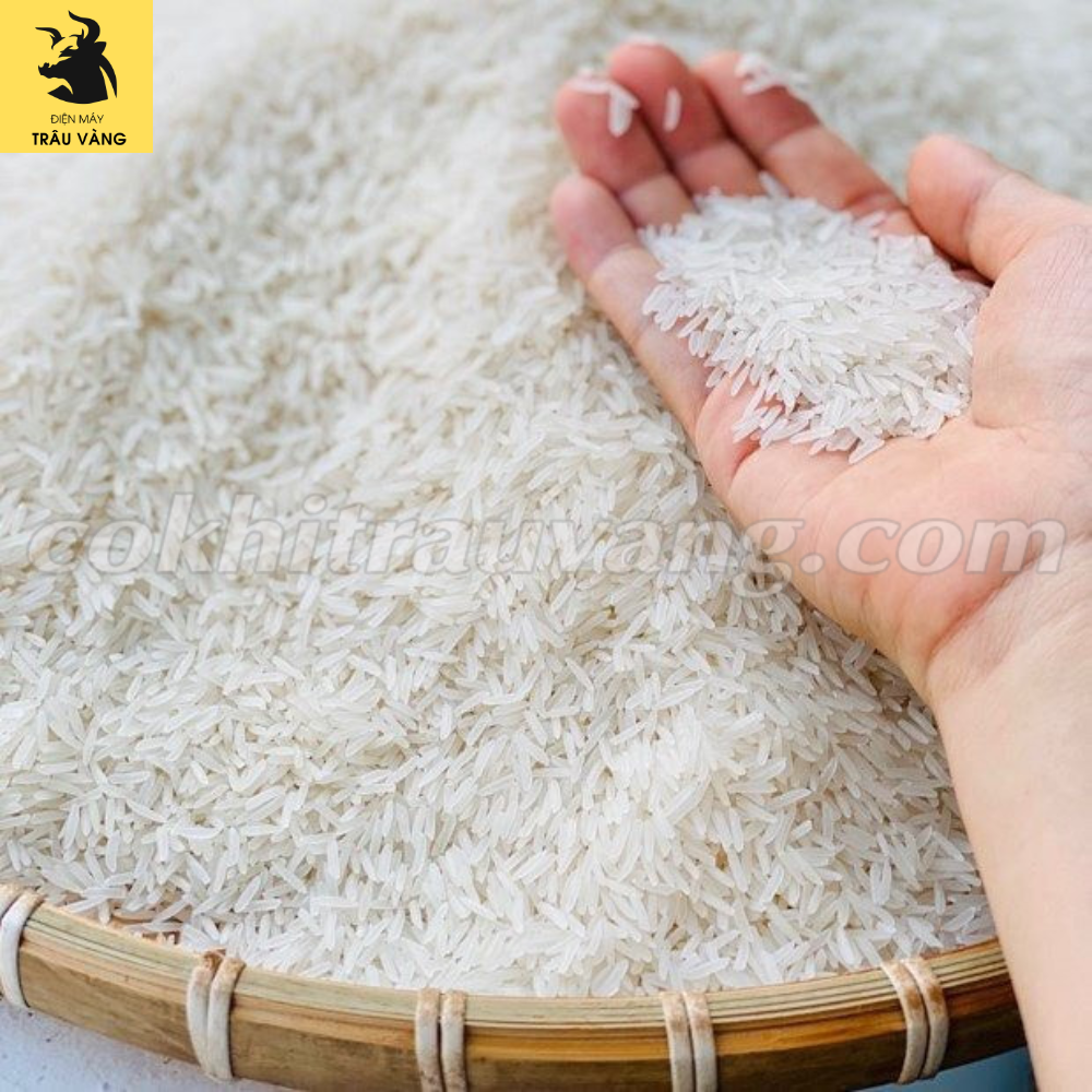 Mua bán máy xay xát lúa gạo cũ cần lưu ý những vấn đề gì? 
