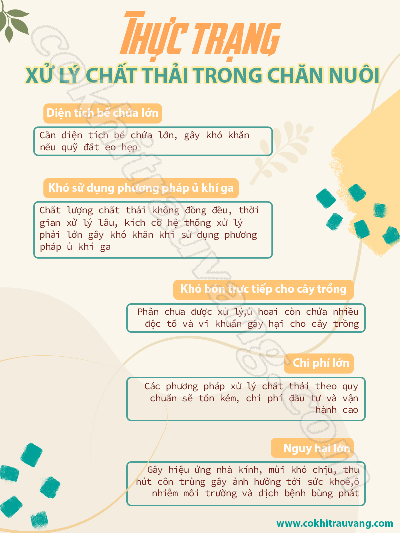 thực trạng xử lí chất thải 