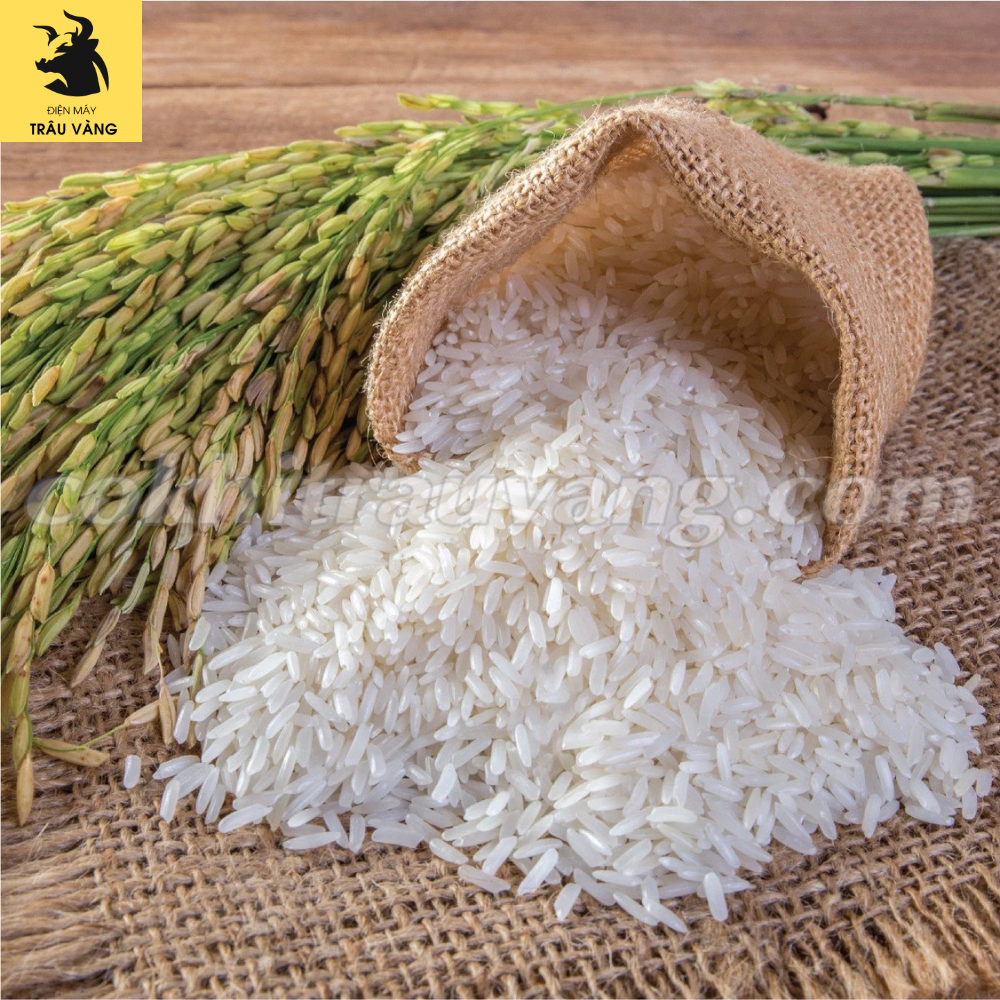 Máy xát gạo