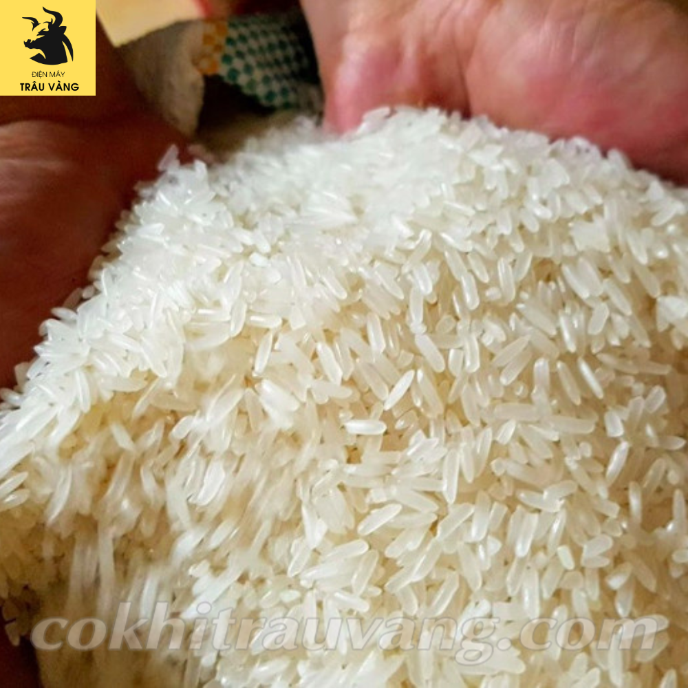Máy chà gạo