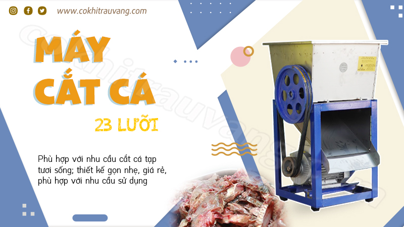 Giới thiệu máy cắt cá mồi dùng cho ngành thủy sản 